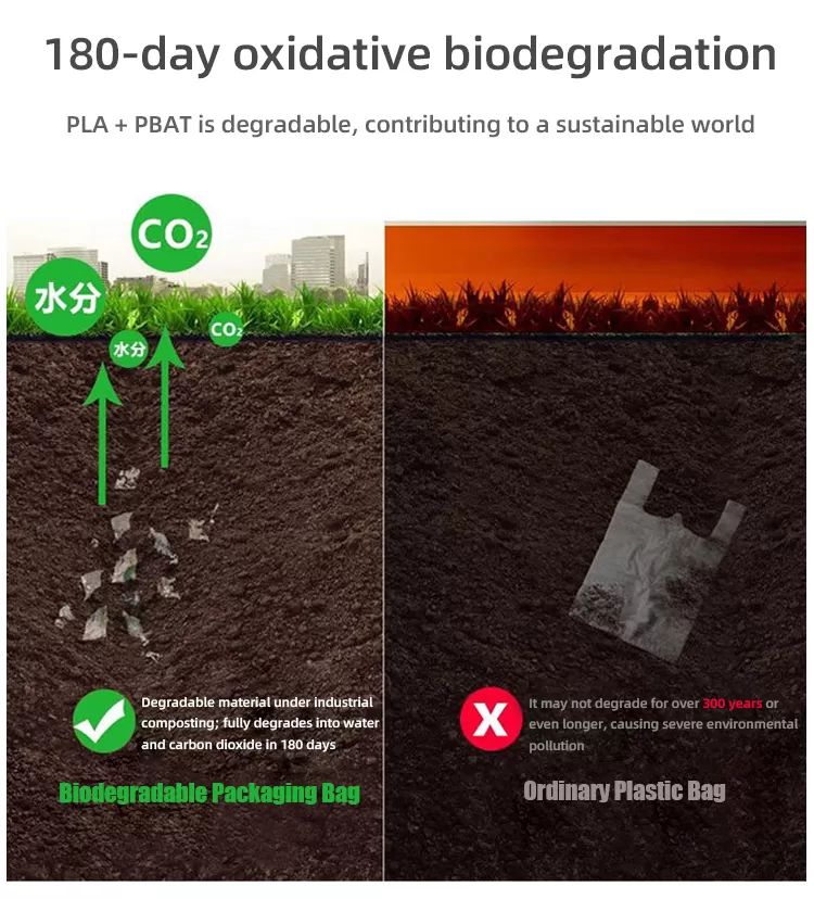 Biodegradable vs Recycled Products