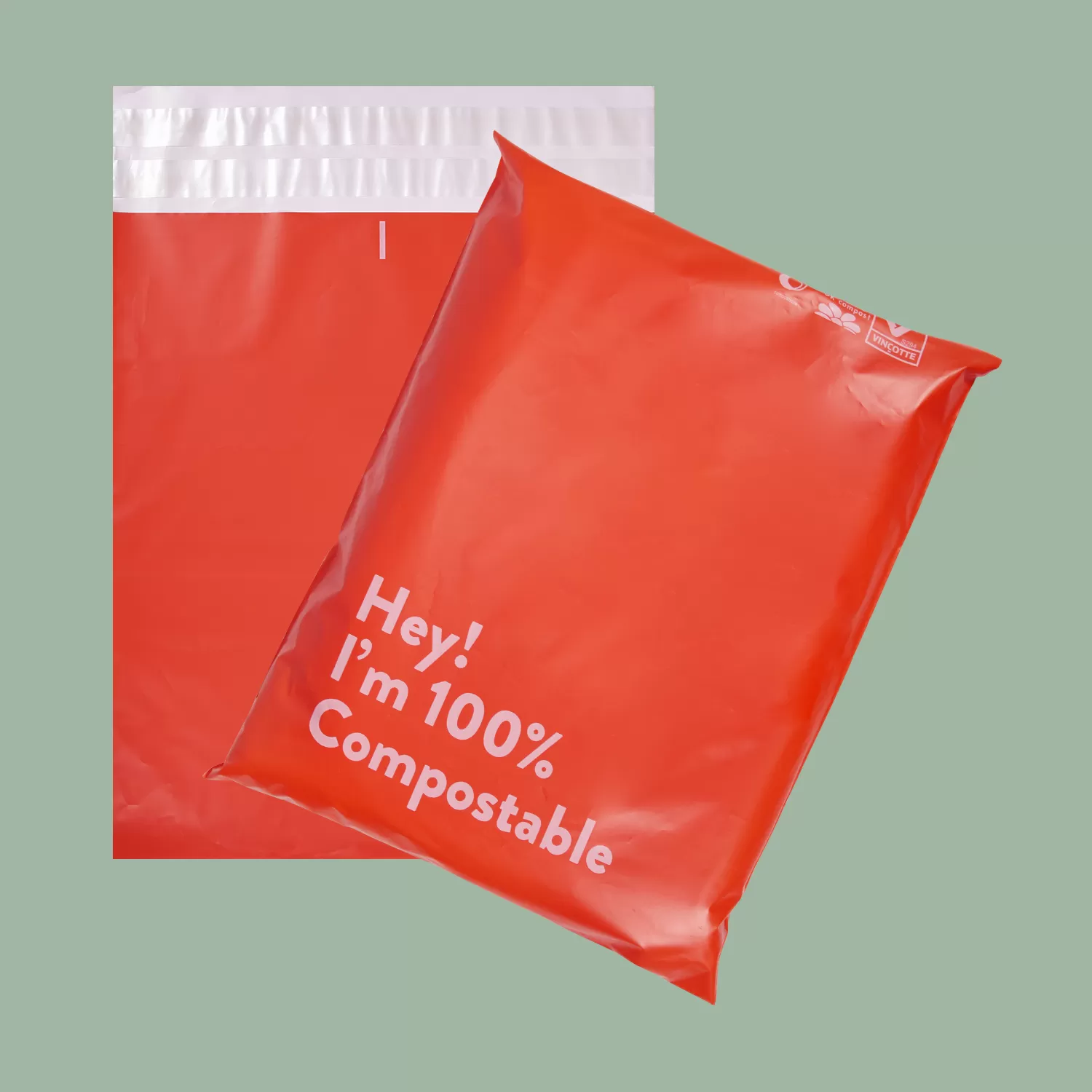 Biodegradable Self-adhesive Mailer